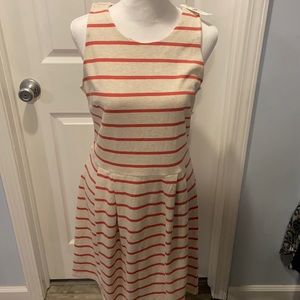 Ann Taylor Loft women’s dress size 6 NWT